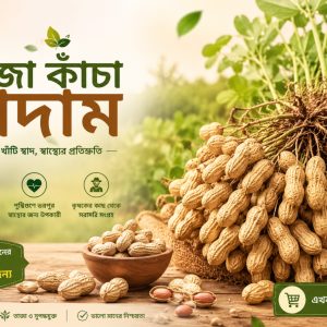 ফ্রেশ দেশি কাঁচা বাদাম | Premium Raw Peanuts | উচ্চমানের কৃষকের সরাসরি সংগ্রহ